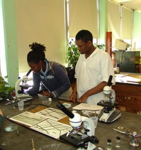 Biology teacher jobs in africa
