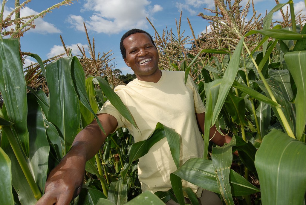 RÃ©sultat de recherche d'images pour "Zimbabwe, blacks new farmers"