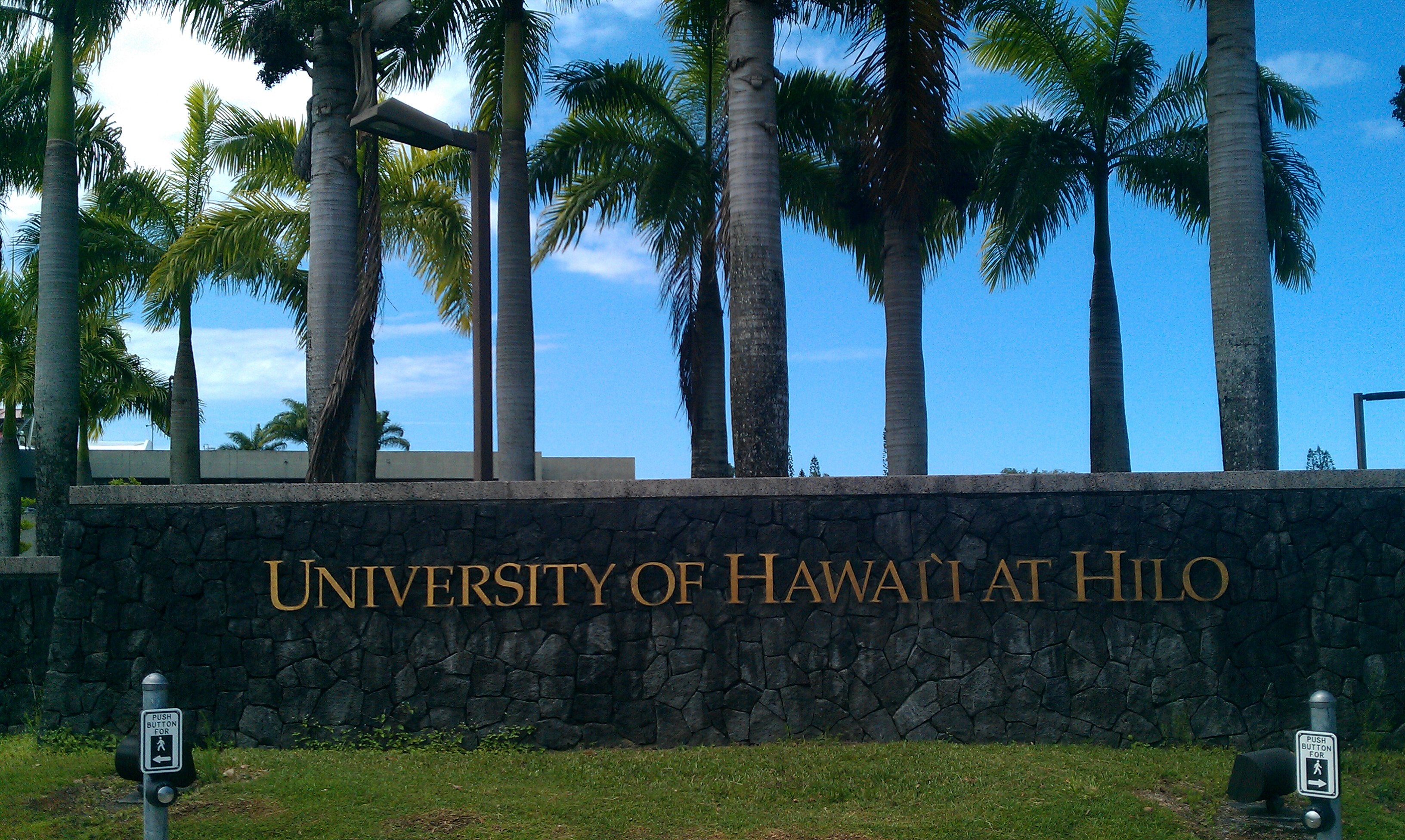 UH Hilo International Student Scholarship For Undergraduates In USA 