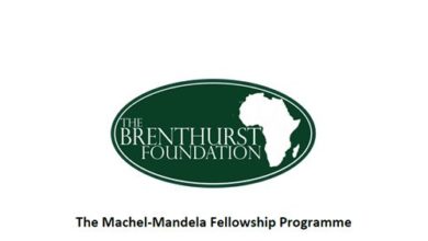 Machel-Mandela Fellowship Programme 2019