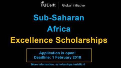 Sub-Saharan Africa Excellence Scholarships