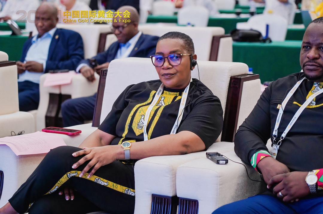 Chinese Gen Riseta Zimbabwe Showcases Vast Mineral Wealth at China-Africa Economic and ...