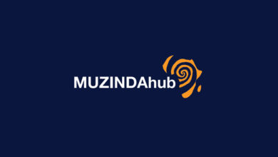 Muzinda Hub Digital Skills Training