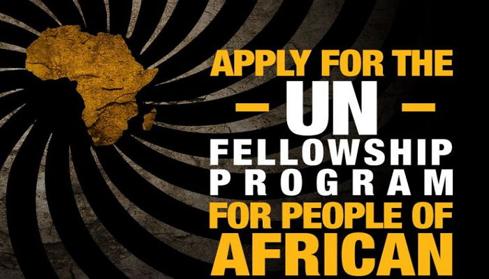 2017 Fellowship Programme for People of African Descent