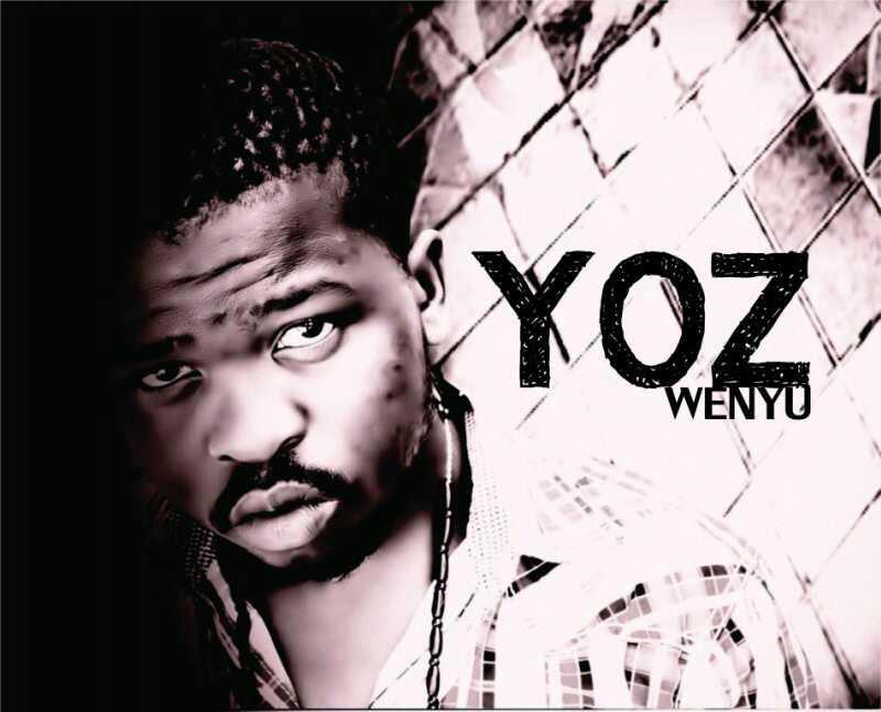 Top 5 Things You Might Not Know About Yoz