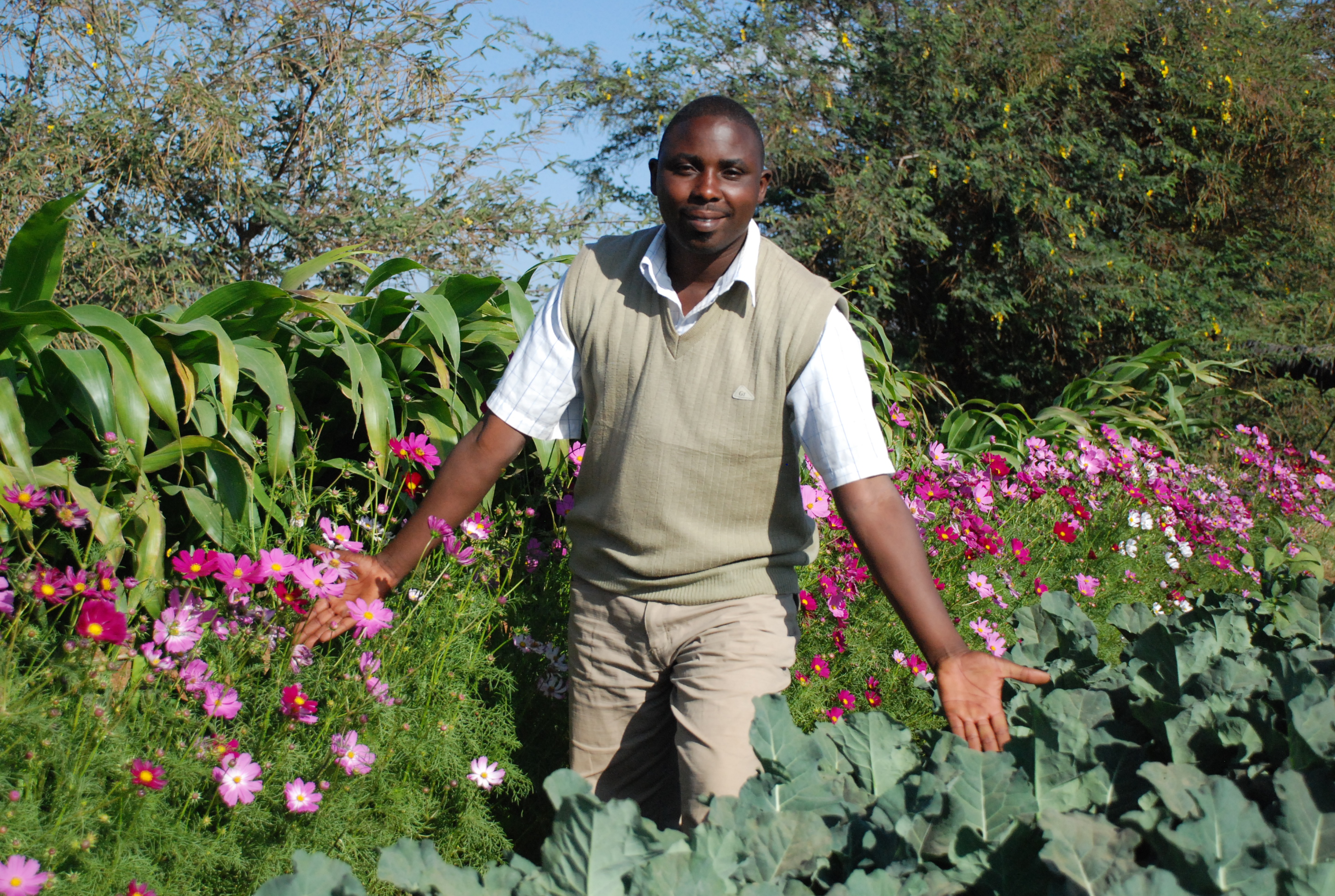Opportunity For Zimbabwean Youth: Farm Manager- Macheke