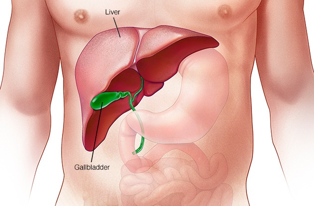 Check Out: 5 Signs Your Liver Is Damaged