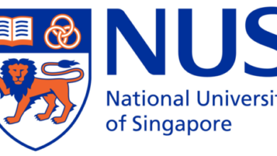 Singapore National Research Foundation Fellowship 2018