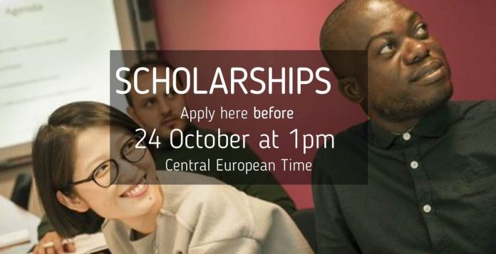 RNTC Scholarships for Media and Communications Professionals to Study in Netherlands